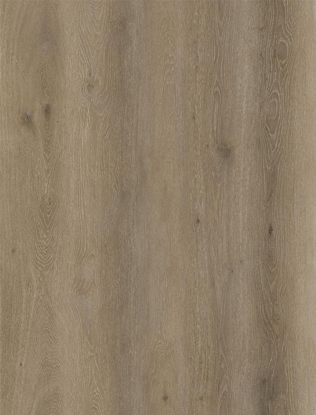 Bermuda Planks Port